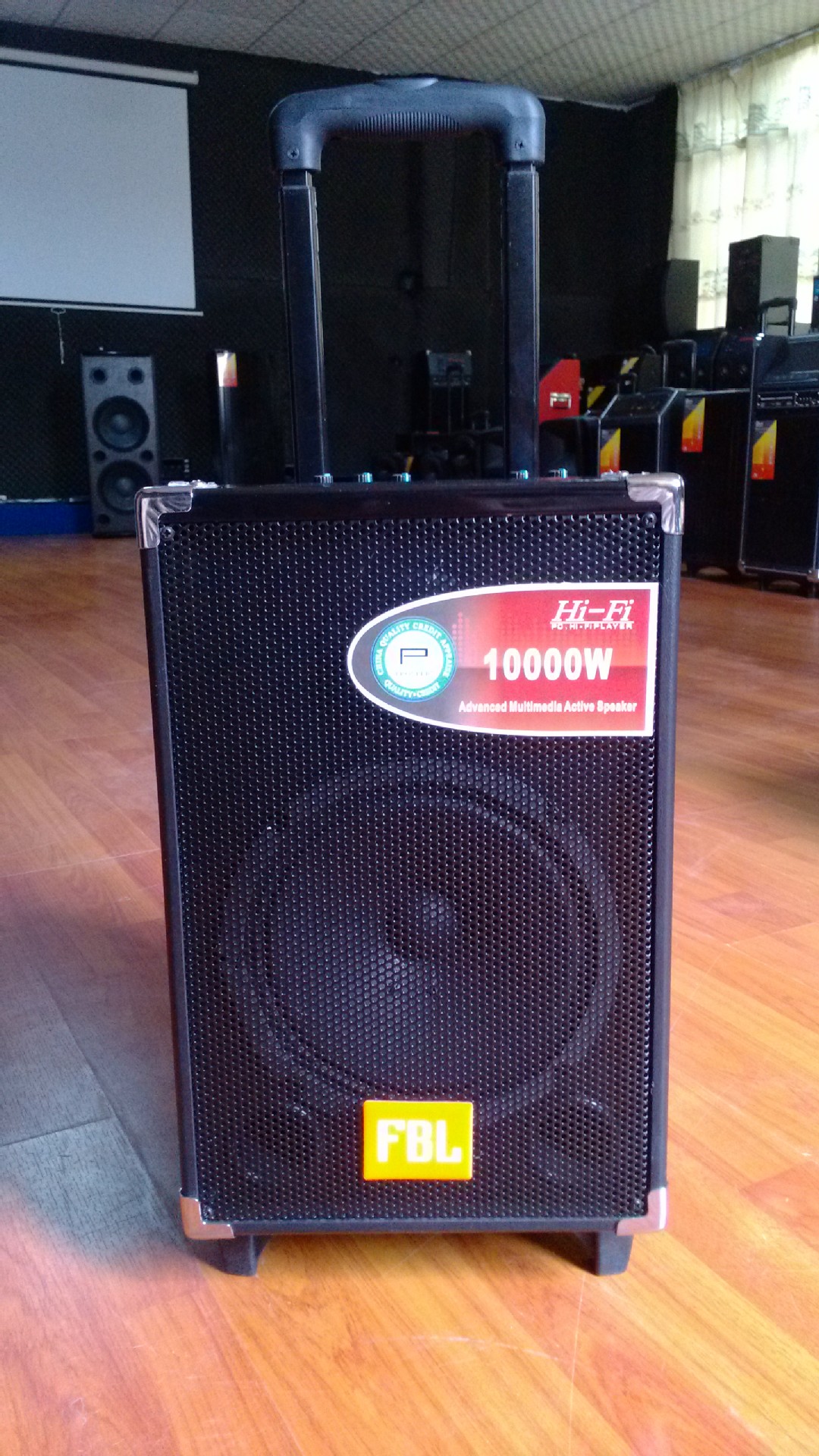 先科音響Q8 大功率拉桿戶外音箱，廠家直銷批發(fā)，教學(xué)促銷利器