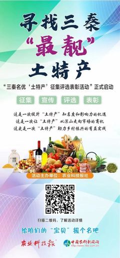 三秦“最靚”土特產(chǎn)展播（三十四） 匠心孕育，淳樸天然的秦風佳品