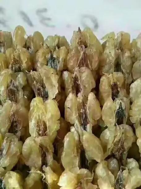 大山深處的土特產品 自然的饋贈與農人的堅守